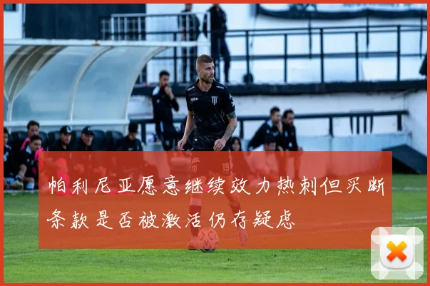 帕利尼亚愿意继续效力热刺但买断条款是否被激活仍存疑虑